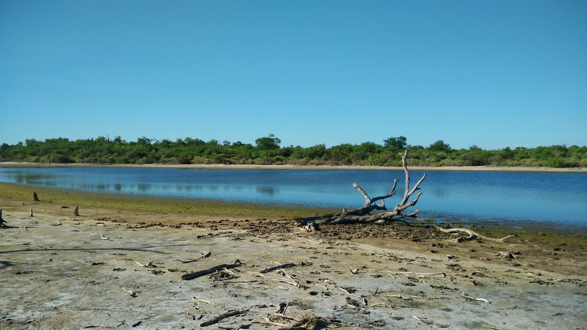 Laguna y pastizal en el Chaco paraguayo
